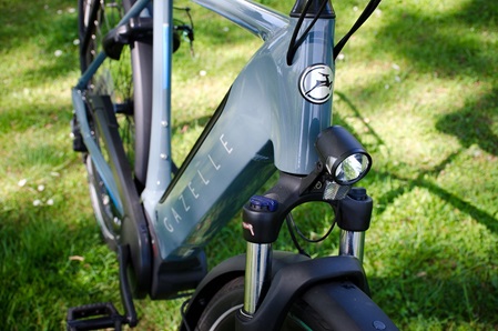 Gazelle Ultimate T10 Herrenrad
