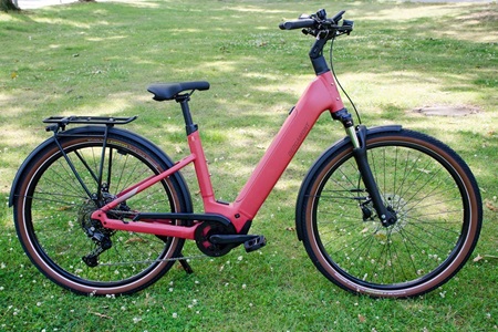 E-Horizon Sport 20 Bergamont