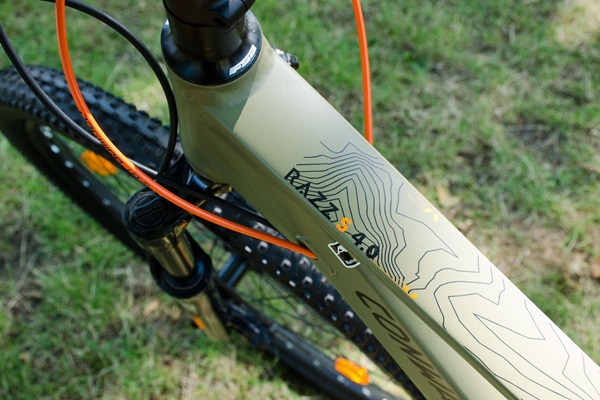 Razz S 4.0 Hardtail Conway